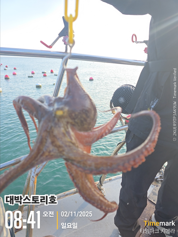 2025-11-02 08.41.47__(대박스토리호).jpg