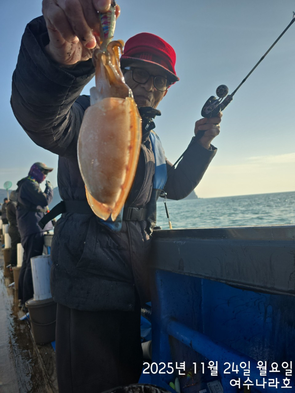 ♠여수나라호♠ 갈치 문어 참돔(타이라바), 쭈꾸미 갑오징어 선상낚시 생활낚시_사진_20251125_15.jpg