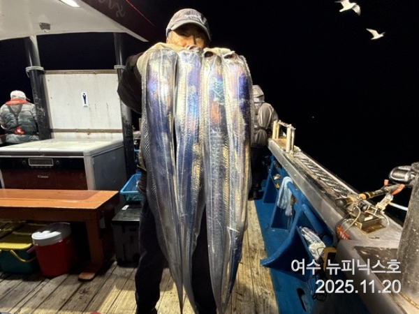 11월21일왕갈치 (34).jpg