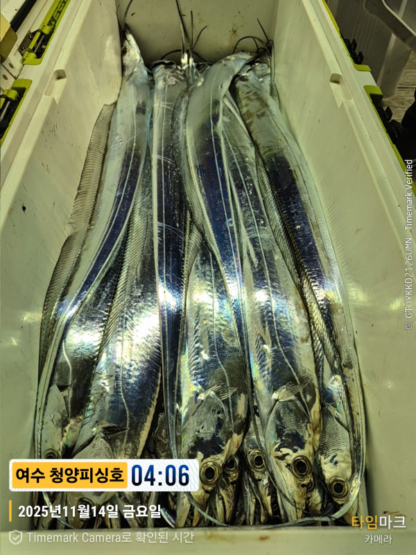 2025-11-14 04.06.01__(제목-여수 청양피싱호).jpg