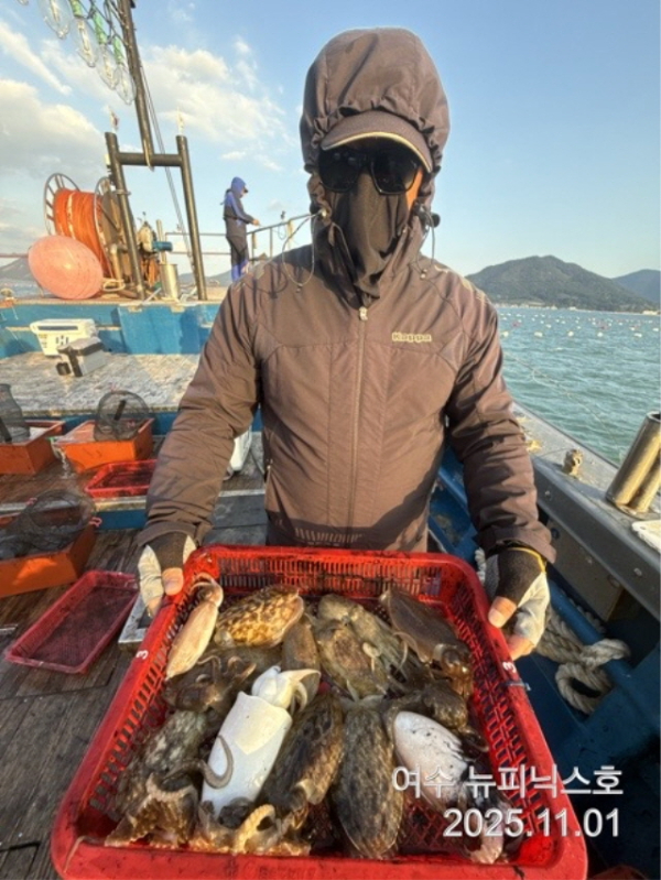 11월1일왕갑오징어 (7).jpg