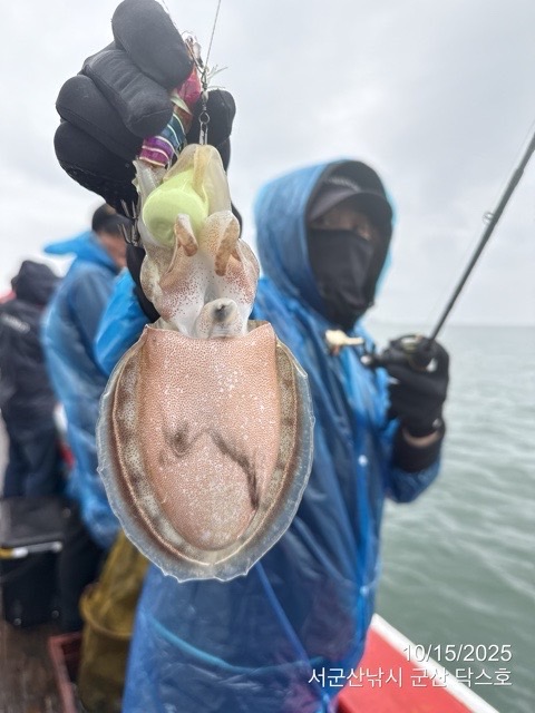 군산 선상낚시, 바다낚시 출조 전문 ☆서군산낚시☆_사진_20251015_9.jpg