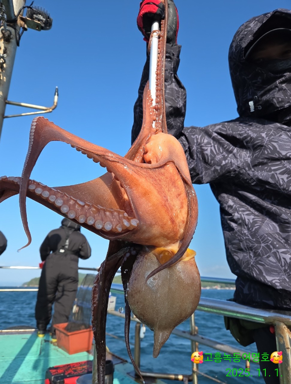 쎄븐피싱클럽(선상 버스출조전문)_사진_20251101_19.jpg