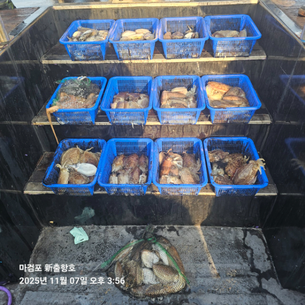 ꫛꫀꪝ✧‧˚ 태안 마검포 新출항호 .• _˚☀₊_사진_20251107_3.jpg