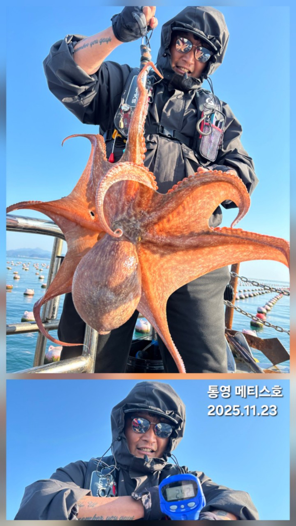 통영 메티스호_사진_20251126_5.jpg