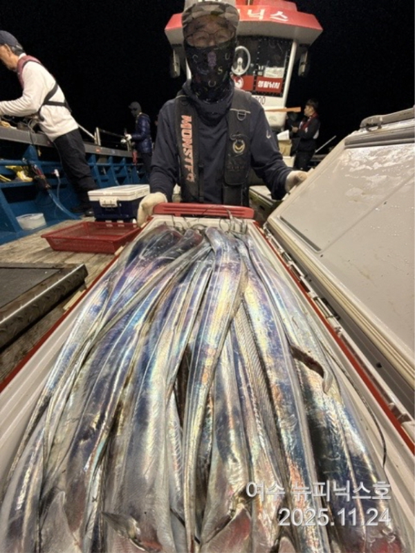 20911월24일갈치 (31).jpg