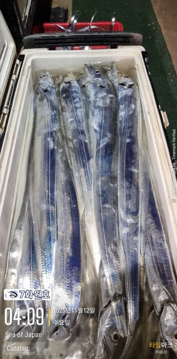 제주갈치낚시 화원호_사진_20251112_17.jpg