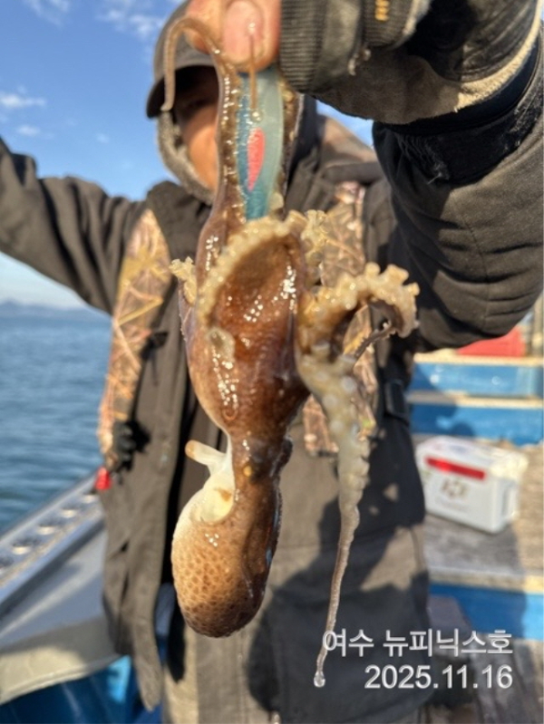 20911월16일왕쭈갑 (14).jpg