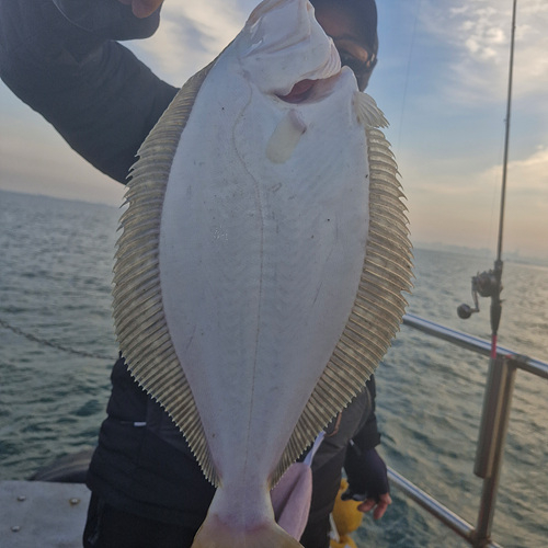 인천배낚시 (4).jpg