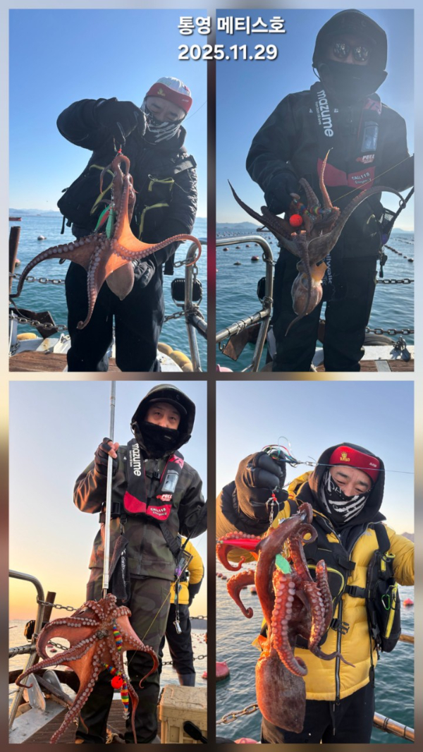 통영 메티스호_사진_20251129_7.jpg