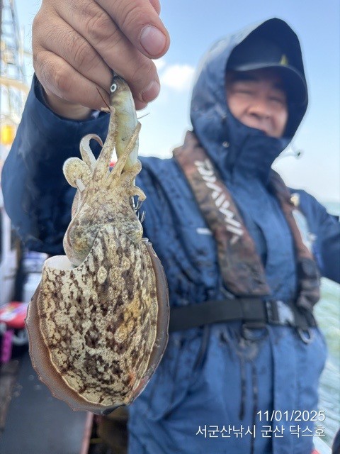 군산 선상낚시, 바다낚시 출조 전문 ☆서군산낚시☆_사진_20251101_2.jpg