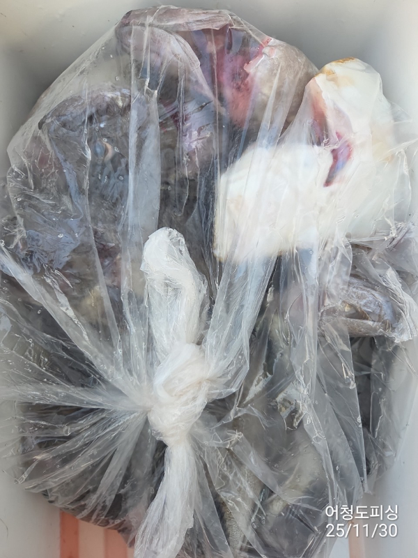 최강피싱 063.463.0800_사진_20251130_35.jpg