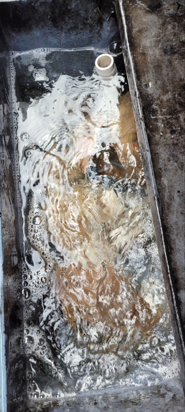 예지퀸호 농어외수질&어초낚시 경기인천권_사진_20251109_6.jpg