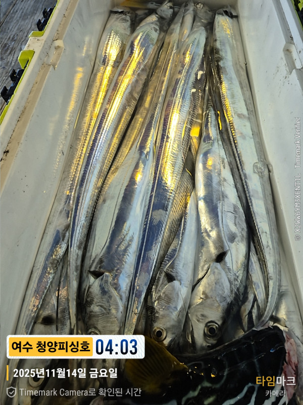 2025-11-14 04.03.57__(제목-여수 청양피싱호).jpg