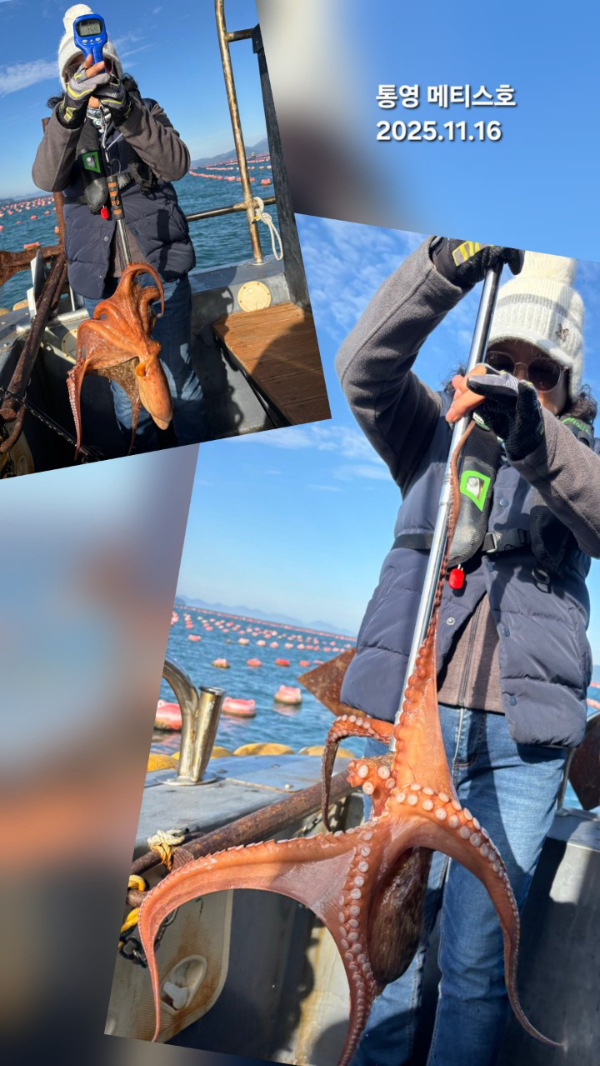 통영 메티스호_사진_20251117_5.jpg