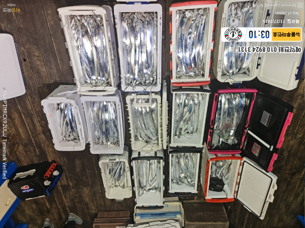 2025-11-27 03.10.35_Japan_(제목-뉴블루마린호)_(예약전화 010 8924 3131).jpg