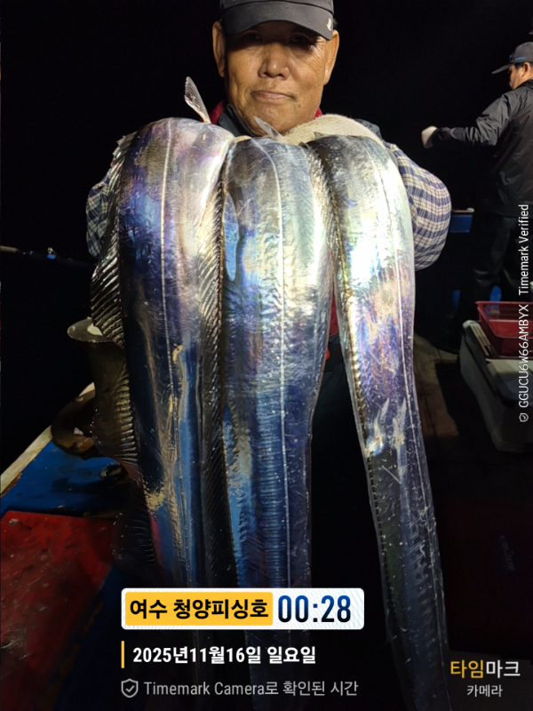 2025-11-16 00.28.53__(제목-여수 청양피싱호).jpg