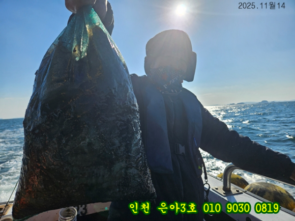 11월14 3호 (3).jpg