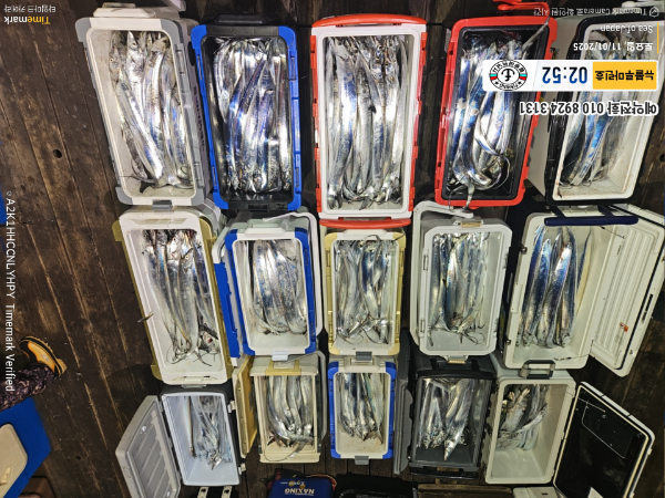 2025-11-01 02.52.20_Japan_(제목-뉴블루마린호)_(예약전화 010 8924 3131).jpg