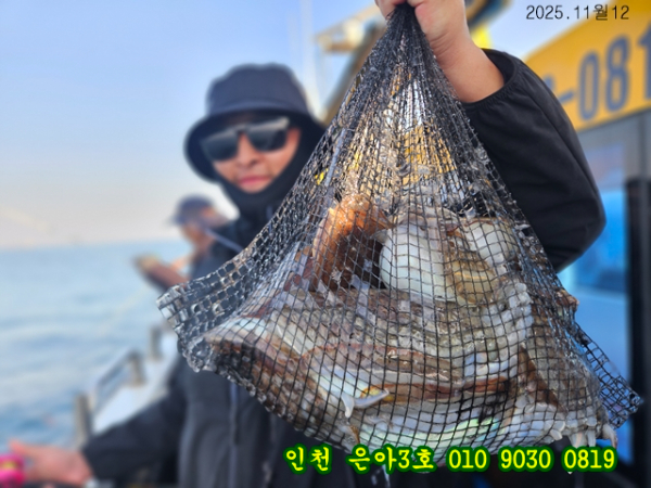 11월13 3호 (12).jpg