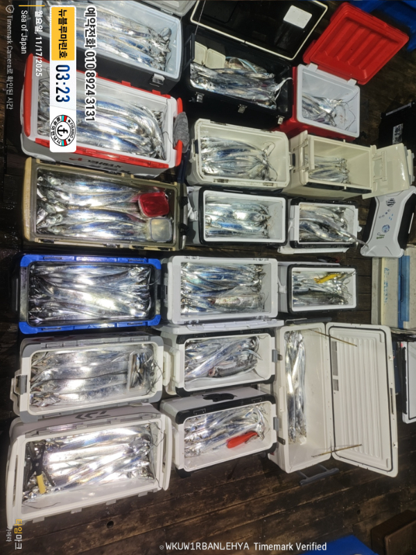 2025-11-17 03.23.31_Japan_(제목-뉴블루마린호)_(예약전화 010 8924 3131).jpg