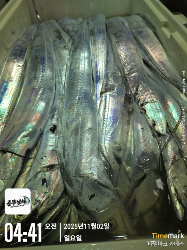 2025-11-02 04.41.02_.jpg