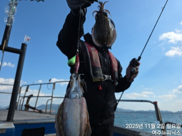 11월2일갑오징어 (7).jpg