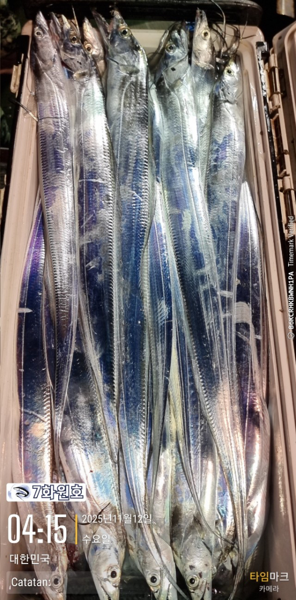 제주갈치낚시 화원호_사진_20251112_11.jpg