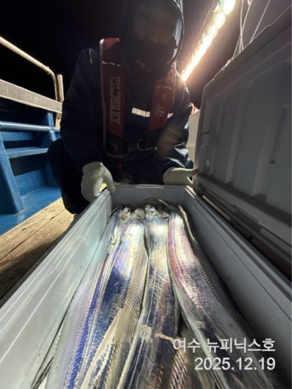 19일만쿨갈치 (4).jpg