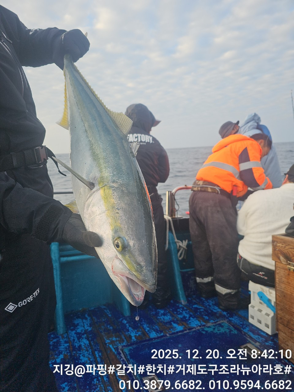 거제도 구조라  뉴아라호 (지깅, 파핑,한치,갈치,타이바라 전문)_사진_20251221_9.jpg