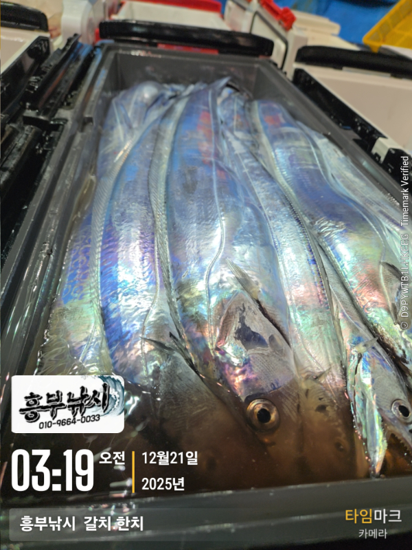 2025-12-21 03.19.58__(-흥부낚시  갈치.한치).jpg