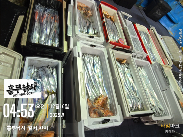 2025-12-16 04.53.21__(-흥부낚시  갈치.한치).jpg