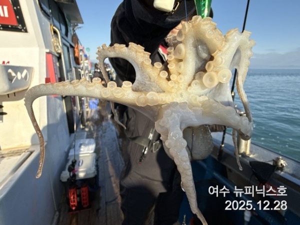 12월28일쭈꾸미 (11).jpg