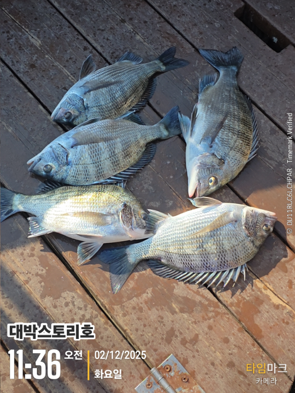 2025-12-02 11.36.36__(대박스토리호).jpg