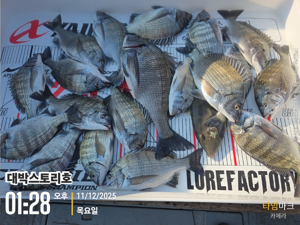 2025-12-11 01.28.41__(대박스토리호).jpg