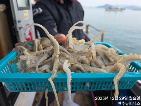 12월29일쭈구미 (45).jpg