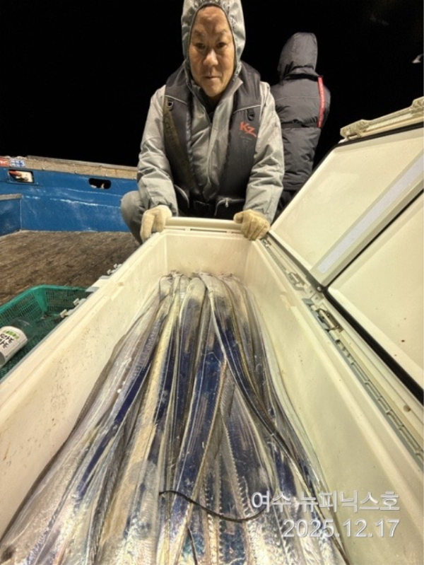 12월17일왕갈치 (9).jpg