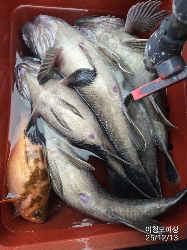 최강피싱 063.463.0800_사진_20251213_40.jpg