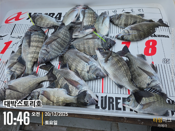 2025-12-20 10.46.30__(대박스토리호).jpg