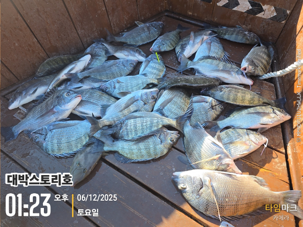 2025-12-06 01.23.32__(대박스토리호).jpg