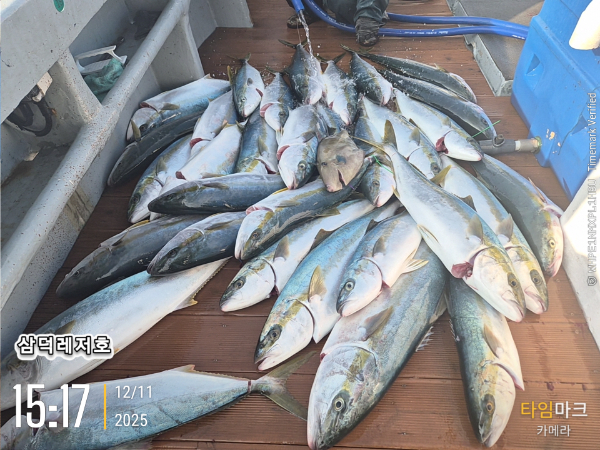 2025-12-11 15.17.46_.jpg