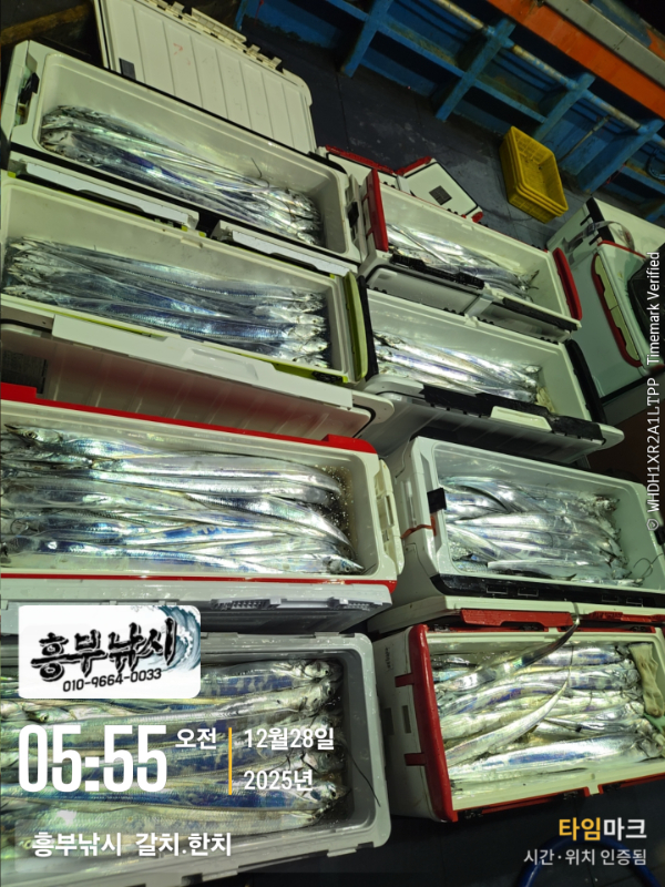 2025-12-28 05.55.41__(-흥부낚시  갈치.한치).jpg