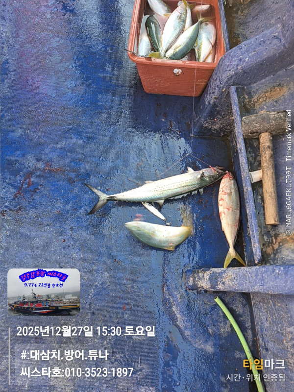 2025-12-27 15.30.20__(#-대삼치.방어.튜나)_(씨스타호-010-3523-1897).jpg
