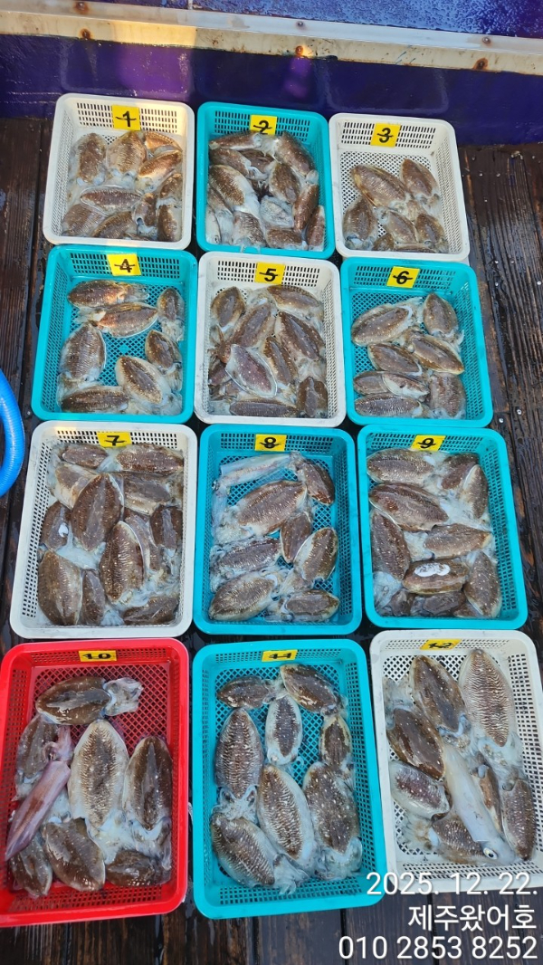 제주왔어호_사진_20251222_2.jpg