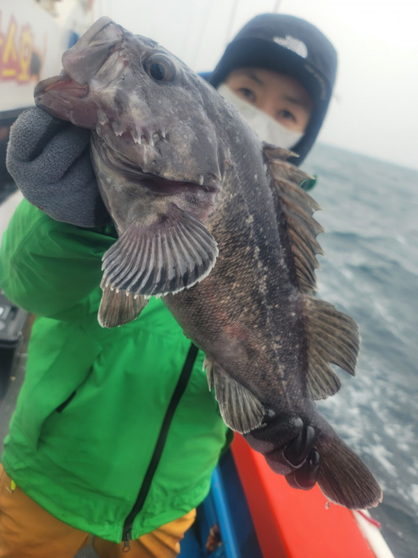 군산 선상낚시, 바다낚시 출조 전문 ☆서군산낚시☆_사진_20251220_19.jpg