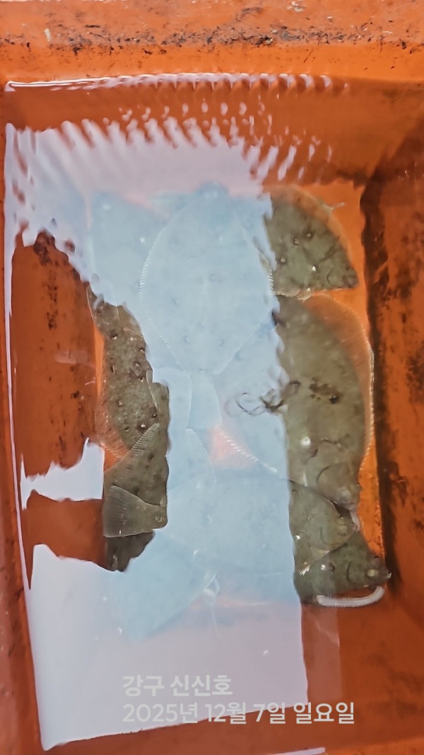 신신낚시 강구점 신신호_사진_20251207_5.jpg