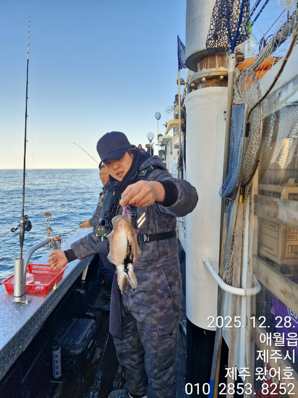 제주왔어호_사진_20251230_40.jpg