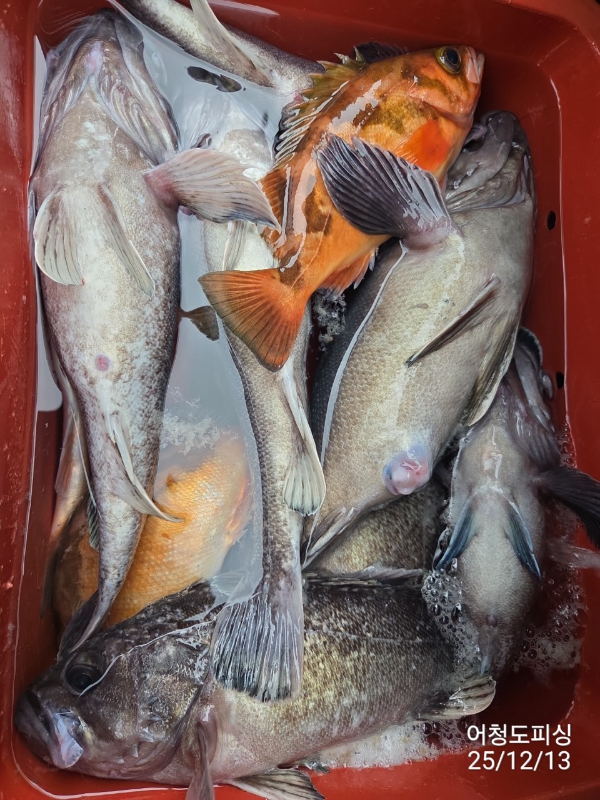 최강피싱 063.463.0800_사진_20251213_44.jpg