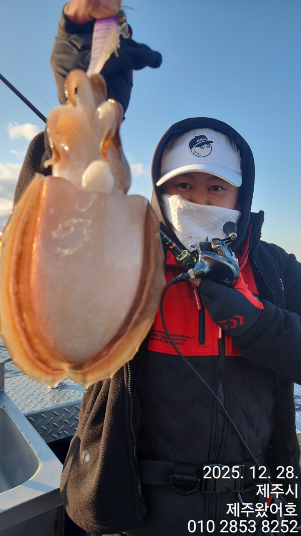 제주왔어호_사진_20251230_24.jpg