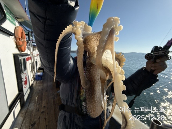 12월28일쭈꾸미 (19).jpg